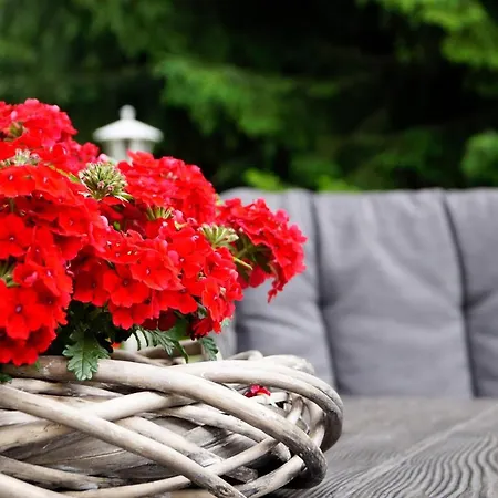Apartment Alpenblick & Outdoor