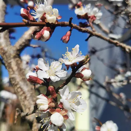 Alpenblick & Outdoor Nauders