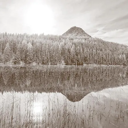 Apartment Alpenblick & Outdoor *