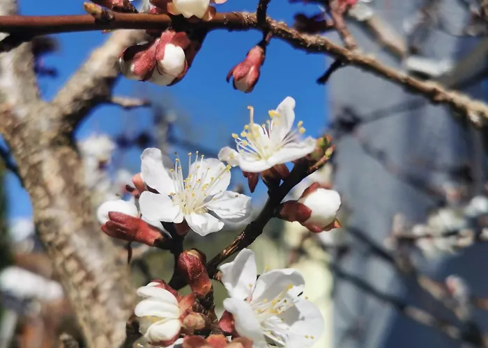 Alpenblick & Outdoor Nauders