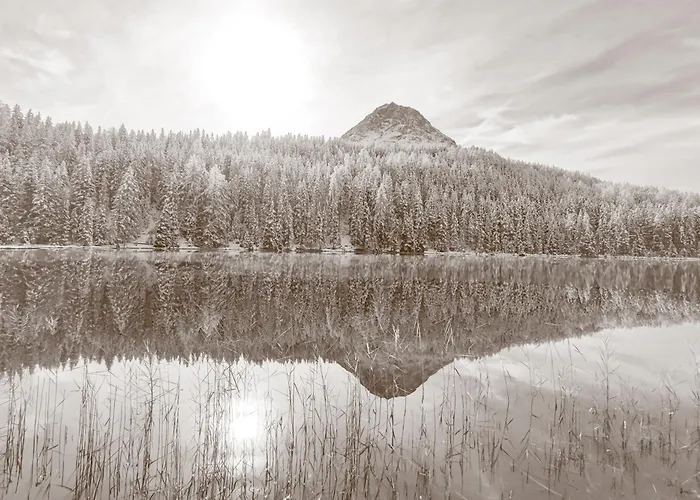 Appartamento Alpenblick & Outdoor *